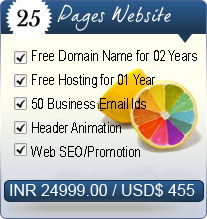 15-25 Pages Web Design Packages