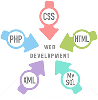 Web Design & Development Company India