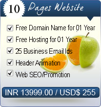 5-10 Pages Web Design Packages